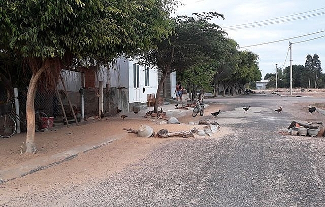 lap 24ha dat trong lua xay khu tai dinh cu sau 10 nam chi vai ho dan den o