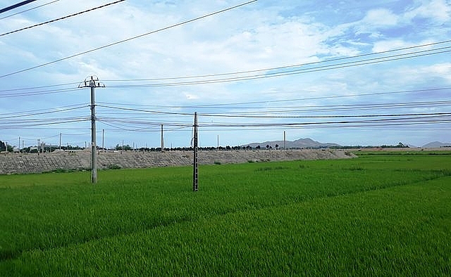 lap 24ha dat trong lua xay khu tai dinh cu sau 10 nam chi vai ho dan den o