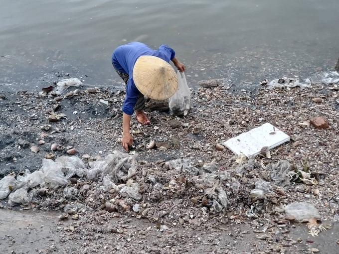 Ô nhiễm nghiêm trọng tại cảng cá lớn nhất xứ Nghệ o nhiem nghiem trong tai cang ca lon bac nhat xu nghe