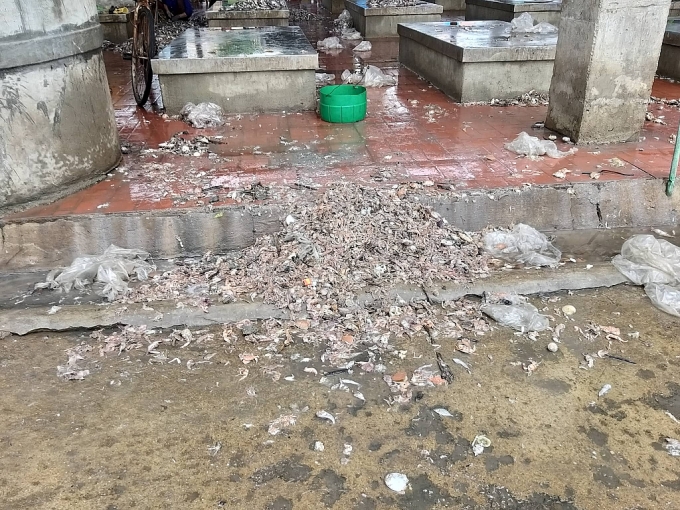 Ô nhiễm nghiêm trọng tại cảng cá lớn nhất xứ Nghệ o nhiem nghiem trong tai cang ca lon bac nhat xu nghe