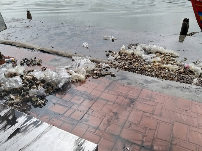 Ô nhiễm nghiêm trọng tại cảng cá lớn nhất xứ Nghệ o nhiem nghiem trong tai cang ca lon bac nhat xu nghe