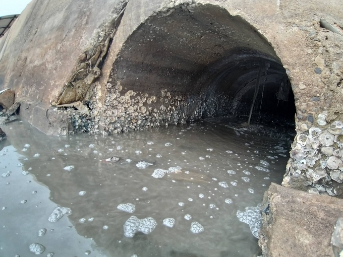 Ô nhiễm nghiêm trọng tại cảng cá lớn nhất xứ Nghệ o nhiem nghiem trong tai cang ca lon bac nhat xu nghe