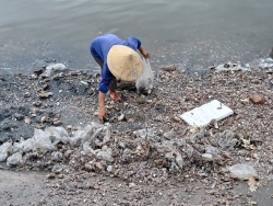 tha ca the doi moi quy hiem nang hon 10kg ve voi tu nhien