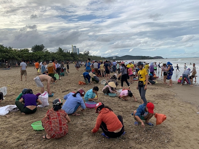 Hàng trăm người dân, du khách ra bãi biển vớt 'lộc trời' sau bão số 4 hang tram nguoi dan du khach ra bai bien vot loc troi sau bao so 4