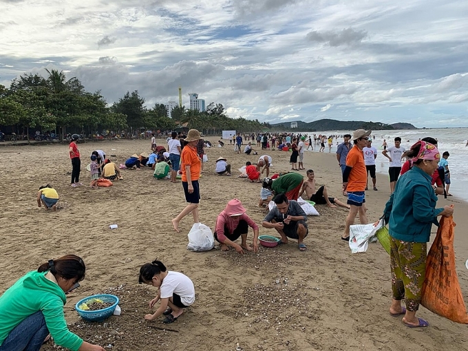 Hàng trăm người dân, du khách ra bãi biển vớt 'lộc trời' sau bão số 4 hang tram nguoi dan du khach ra bai bien vot loc troi sau bao so 4