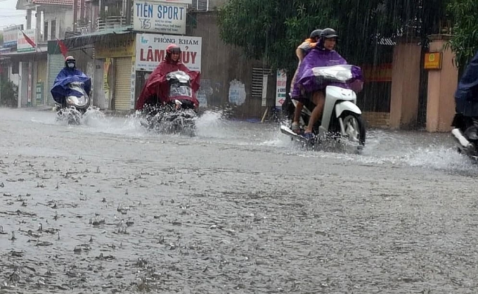 mua xoi xa nhieu gio thanh pho vinh chim trong bien nuoc
