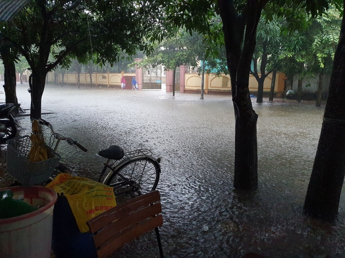 mua xoi xa nhieu gio thanh pho vinh chim trong bien nuoc