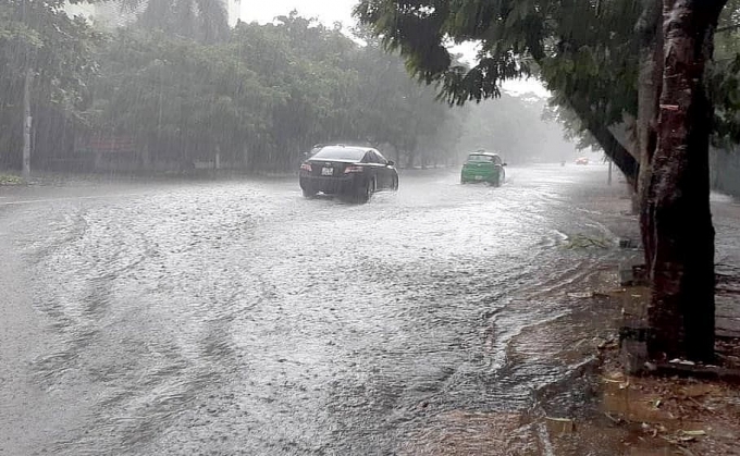 mua xoi xa nhieu gio thanh pho vinh chim trong bien nuoc