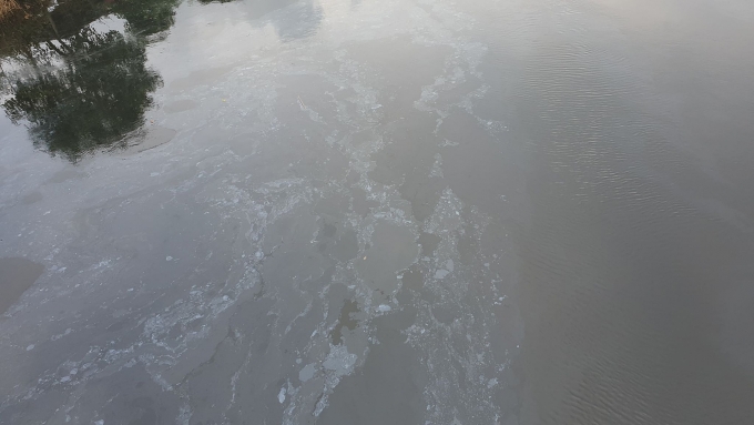 Xác minh đường ống cạnh nhà máy bia xả thải trực tiếp ra môi trường xac minh duong ong canh nha may bia xa thai truc tiep ra moi truong