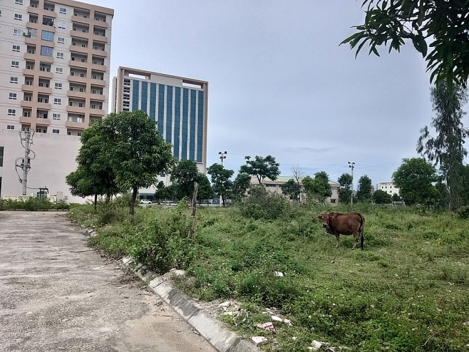 ai chong lung cho muong thanh hoang mai xay dung khong phep