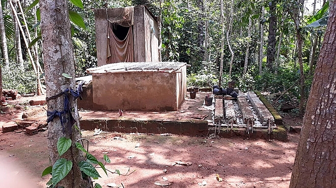 dau long co giao moi sinh con gieo minh xuong gieng sau tu van