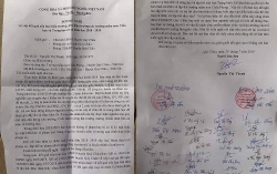 them thong tin ve qua trinh lam viec cua co hieu truong mam non chau phong