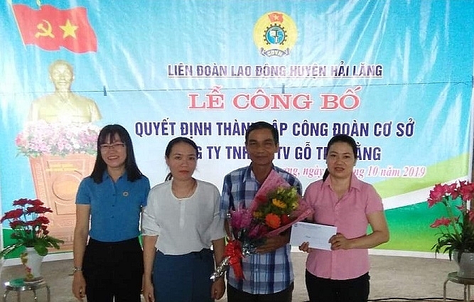 Quảng Trị thành lập Công đoàn cơ sở tại công ty gỗ quang tri thanh lap cong doan co so tai cong ty go