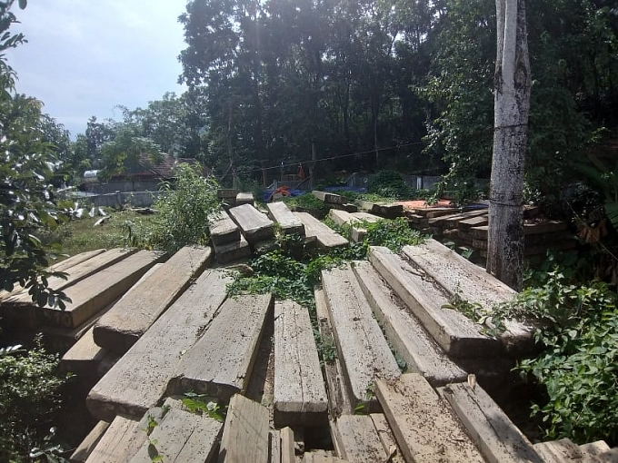 xot xa hang tram m go sa mu dau quy hiem dam mua dai nang