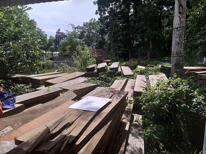 xot xa hang tram m go sa mu dau quy hiem dam mua dai nang