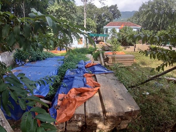 xot xa hang tram m go sa mu dau quy hiem dam mua dai nang