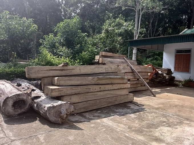 xot xa hang tram m go sa mu dau quy hiem dam mua dai nang