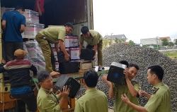 bat giu lo hang tui xach vi da khung co dau hieu gia mao cac nhan hieu noi tieng