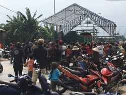 phat hien vu van chuyen 2 ca the ho con quy hiem o khu vuc bien gioi