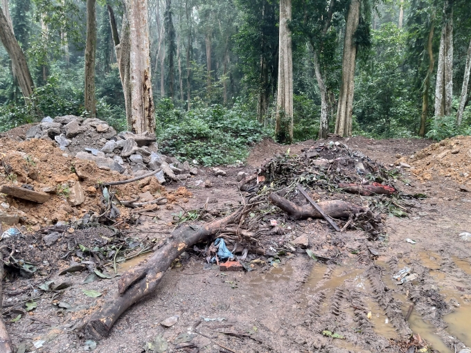 la phoi xanh noi mien tay xu nghe thanh noi tap ket rac thai