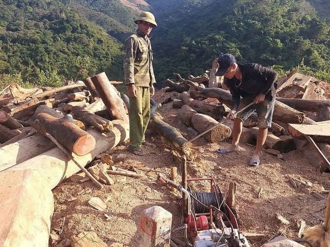 hon mot nam sau tran lu lich su rac go van ngap long ho thuy dien ban ve