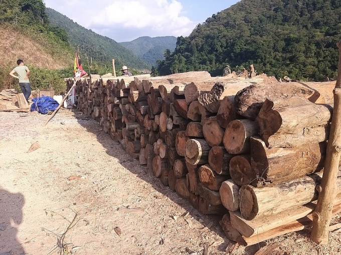 hon mot nam sau tran lu lich su rac go van ngap long ho thuy dien ban ve