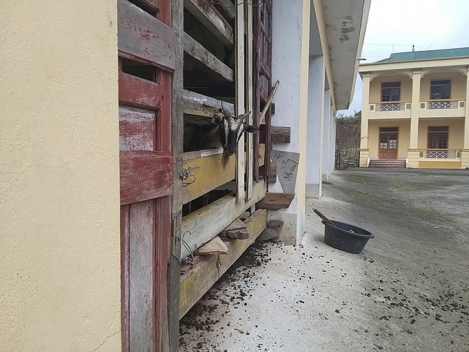 Phòng khám 11 tỷ đồng ở huyện biên giới nghèo nhất xứ Nghệ chỉ để chăn thả dê phong kham 11 ty dong o huyen bien gioi ngheo nhat xu nghe chi de chan tha de