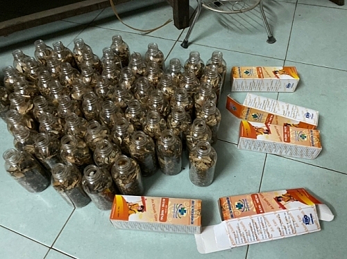 Bắt quả tang cơ sở có dấu hiệu làm giả số lượng lớn hoá mỹ phẩm bat qua tang co so co dau hieu lam gia so luong lon hoa my pham