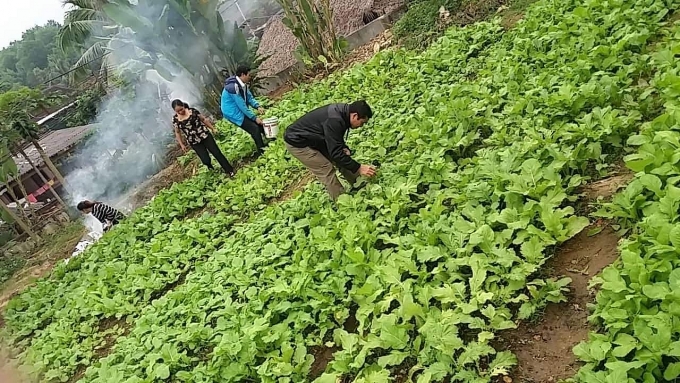 ve noi nhung nguoi lai do cam ban gop gao thoi com trua nuoi hoc tro ngheo