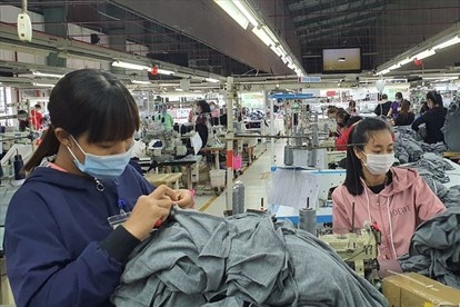 Xuân này con không về... Xuân này con không về...