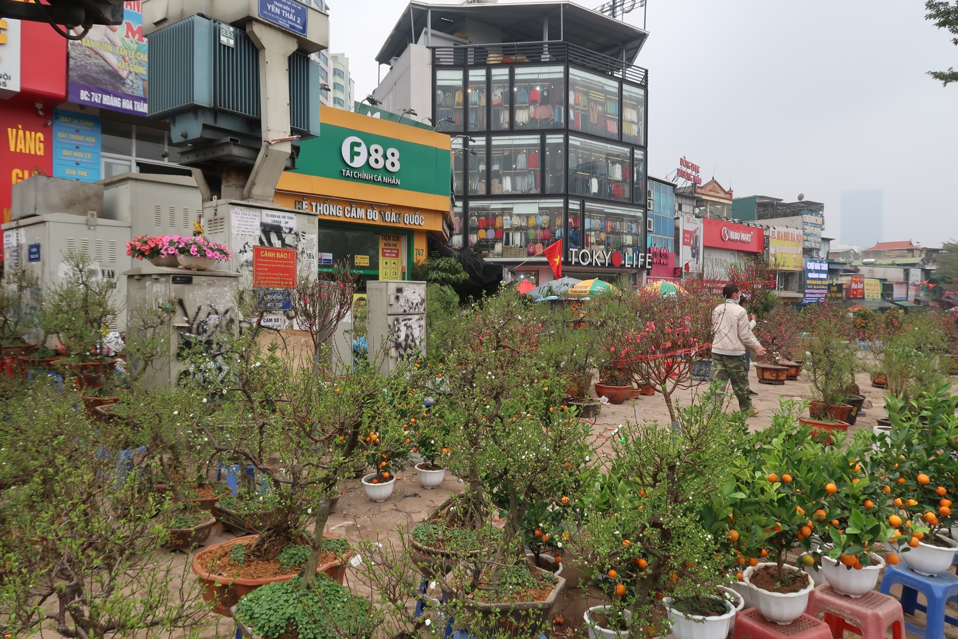 Lao động chợ hoa lao đao vì dịch Covid - 19 Lao động chợ hoa lao đao vì dịch Covid - 19