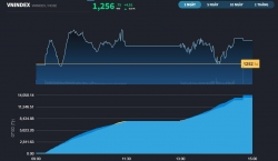 Sắc xanh phủ được 50% số mã, Dầu khí, Thủy sản, Bán lẻ nổi trội nhất