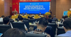 ĐHĐCĐ Vietnam Airlines: Dòng tiền đã quay trở lại, bằng 80% so với trước đạ