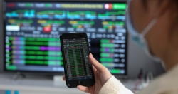 Cần duy trì những nỗ lực hồi phục