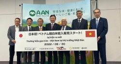 Thương hiệu gạo A An chinh phục thành công thị trường cực kỳ khó tính Nhật Bản