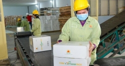 Lộc Trời xuất 500 tấn gạo thương hiệu “Cơm Việt Nam Rice” sang châu Âu