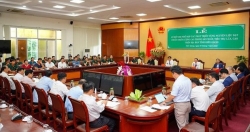 Lộc Trời và MBBank “bắt tay” sản xuất lúa gạo trên quy mô lớn tại Kiên Giang