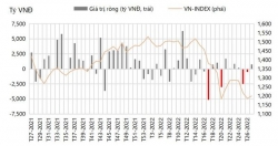 Thị trường giảm mạnh, T+2 có đủ sức hút tiền trở lại?
