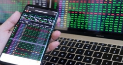 Mirae Asset lên kịch bản tích cực: VN-Index lấy lại mốc 1.530 điểm nửa cuối năm