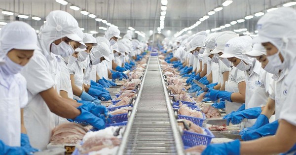 Vĩnh Hoàn (VHC) lãi ròng gấp 3 cùng kỳ, dòng tiền kinh doanh vẫn âm 300 tỷ