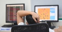 Quan sát và chờ đợi