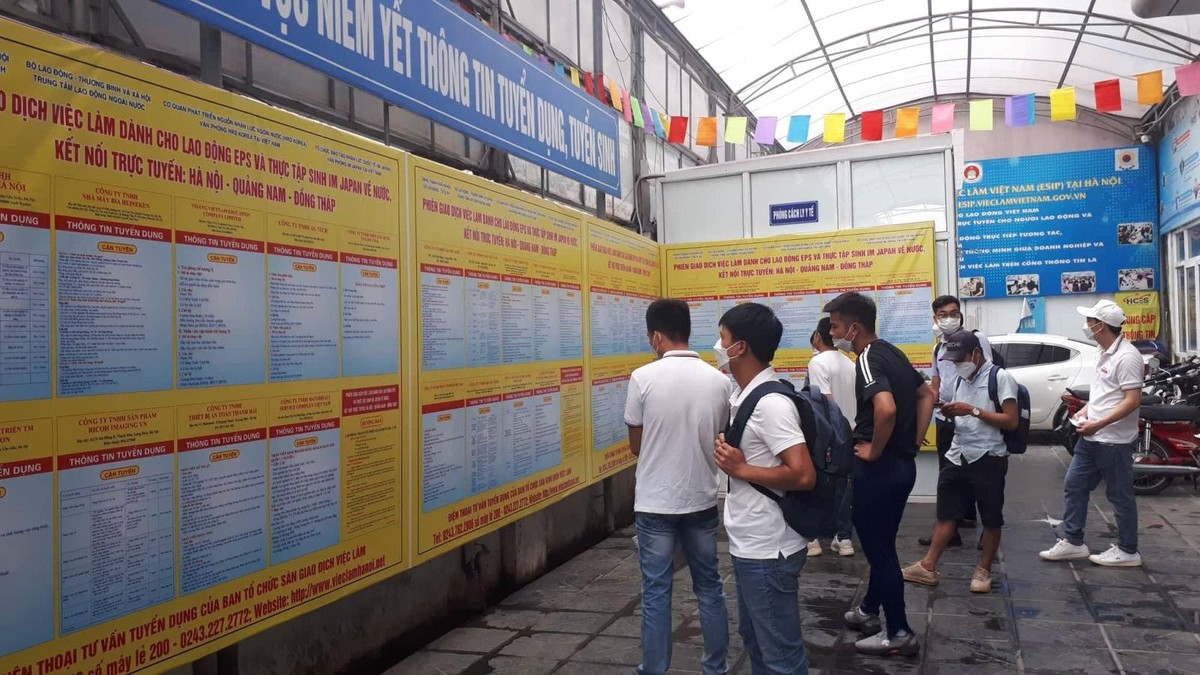 Lao động t&igrave;m kiếm th&ocirc;ng tin tuyển dụng của doanh nghiệp.