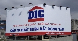 Không thu xếp kịp tiền, Phó chủ tịch DIC Group (DIG) không mua cổ phiếu nào trong 10 triệu cổ phiếu đăng ký
