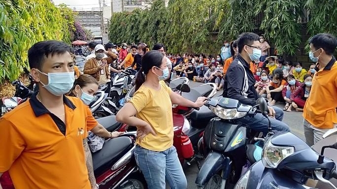 TP.HCM: 971 doanh nghiệp nợ BHXH trên 6 tháng