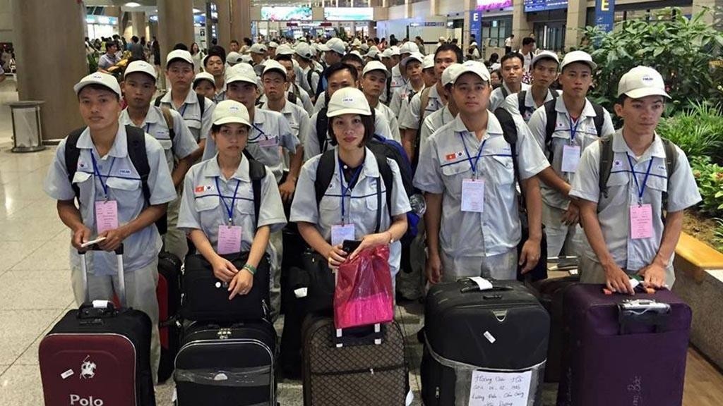 Lao động Việt làm việc dài hạn tại Hàn Quốc có mức lương từ 2.000 - 2.500 USD/tháng Hiện có khoảng 50.000 lao động Việt Nam làm việc tại Hàn Quốc