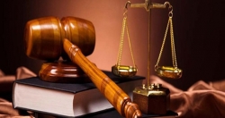 Ô tô Giải Phóng (GGG) bị phạt 170 triệu đồng