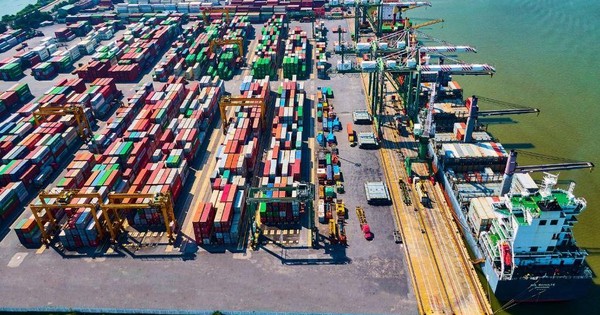 4 cổ đông lớn đồng loạt thoái vốn tại Viconship