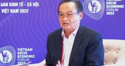 "Quyết sách phục hồi như xe cấp cứu, phải có đèn ưu tiên nhưng tài xế cứ chạy từ từ"