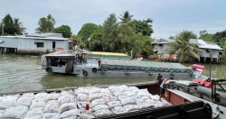 Giá gạo và &quot;sự kiện Ấn Độ&quot;: Người trồng lúa chưa hẳn vui, doanh nghiệp Việt chưa vội ký mới