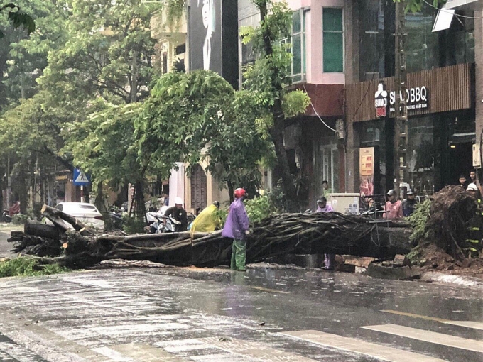 Ảnh hưởng của bão số 3: Nhiều cây lớn bị quật đổ trên đường phố Hà Nội anh huong cua bao so 3 nhieu cay lon bi quat do tren duong pho ha noi vi mua lon